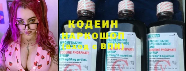 гашик Липки